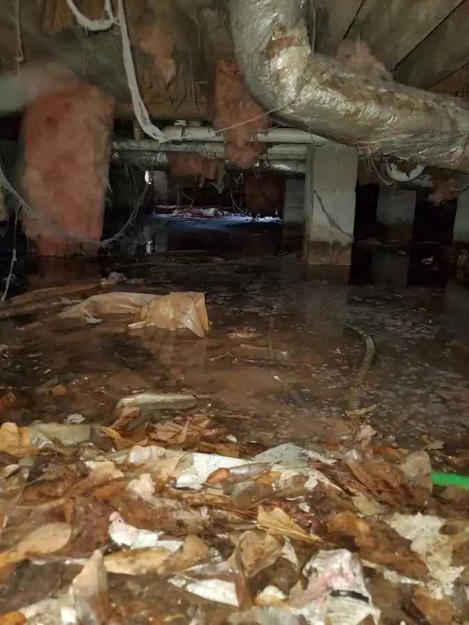 Crawl space flood assessment for Leak Detection & Repair in Austell